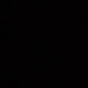 Meet your Posher, Tamico